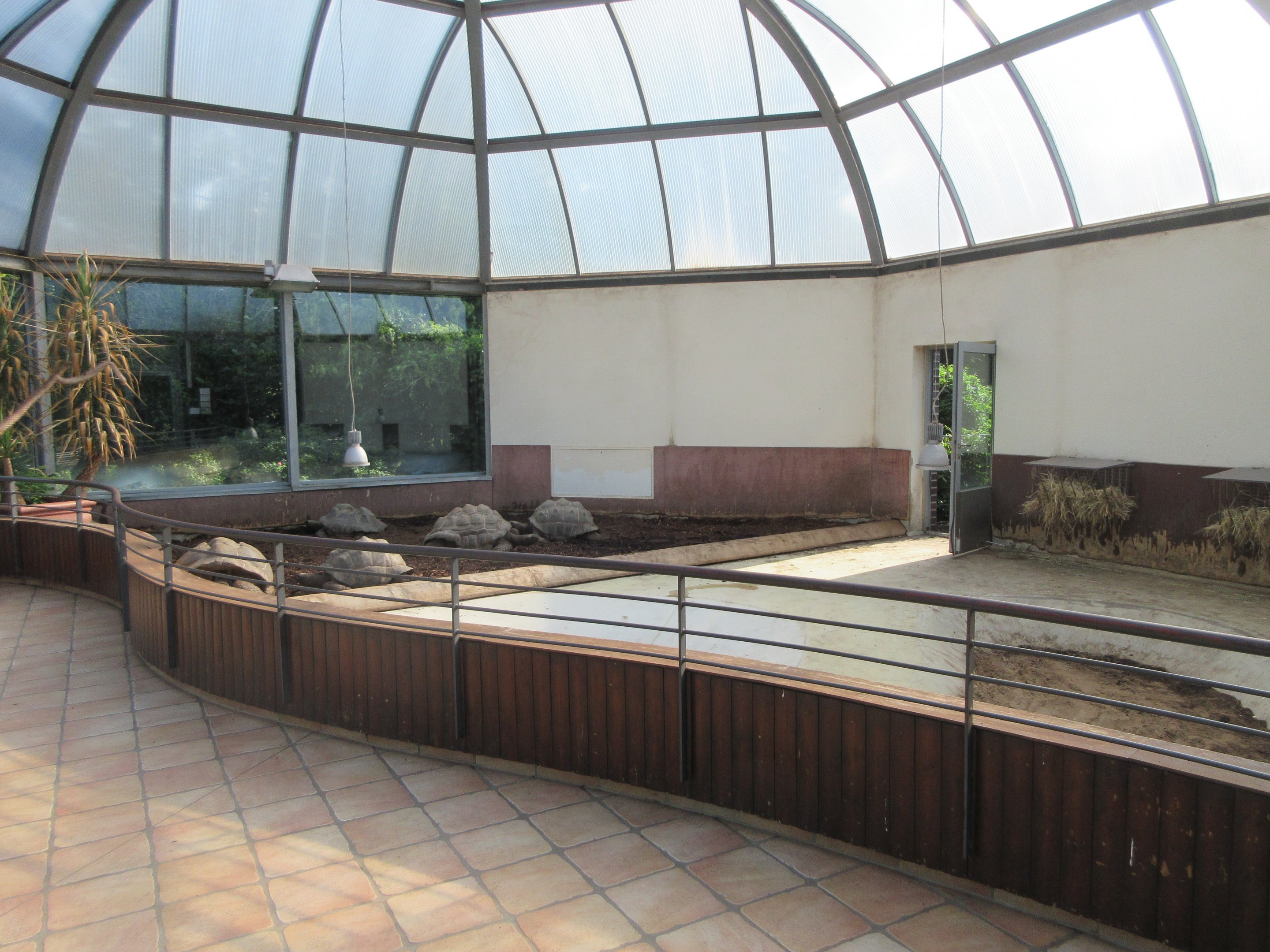 Aldabra Tortoise House