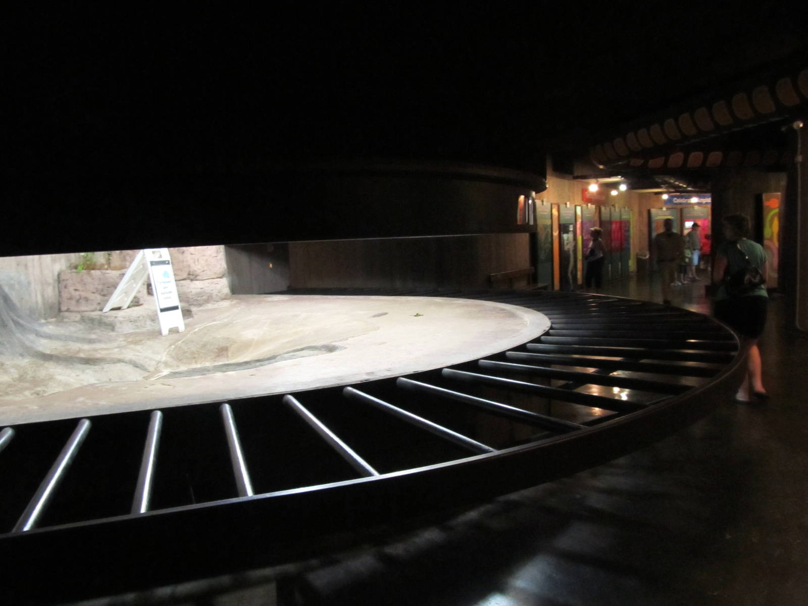 Aldabra Tortoise Indoor Exhibit