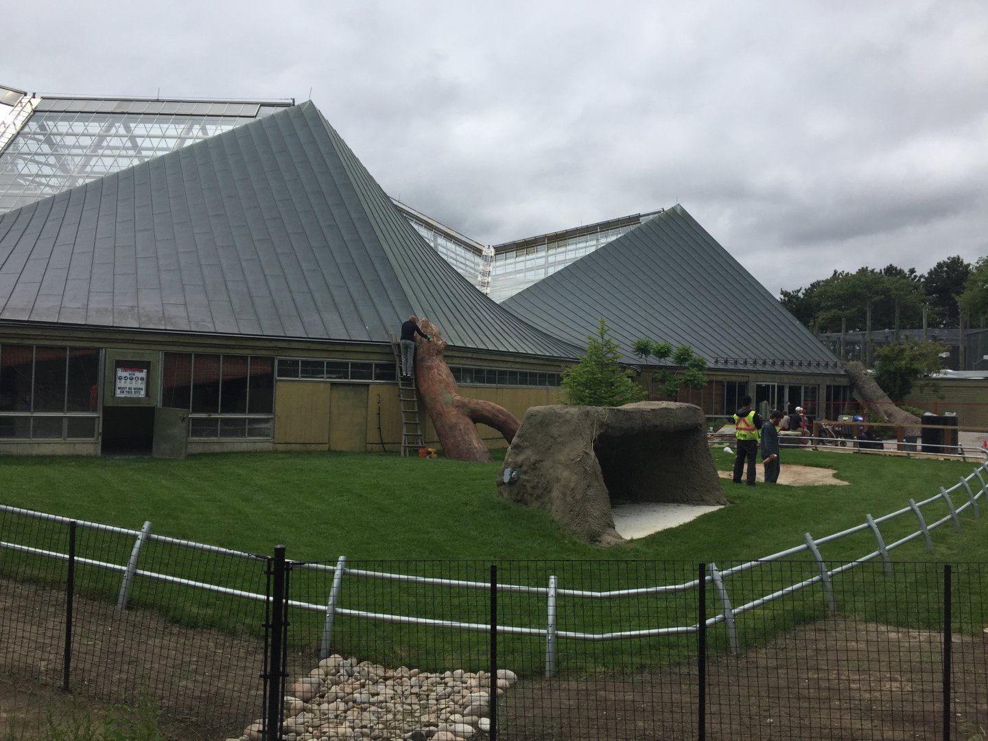 Aldabra Tortoise Outdoor Exhibit (Construction)