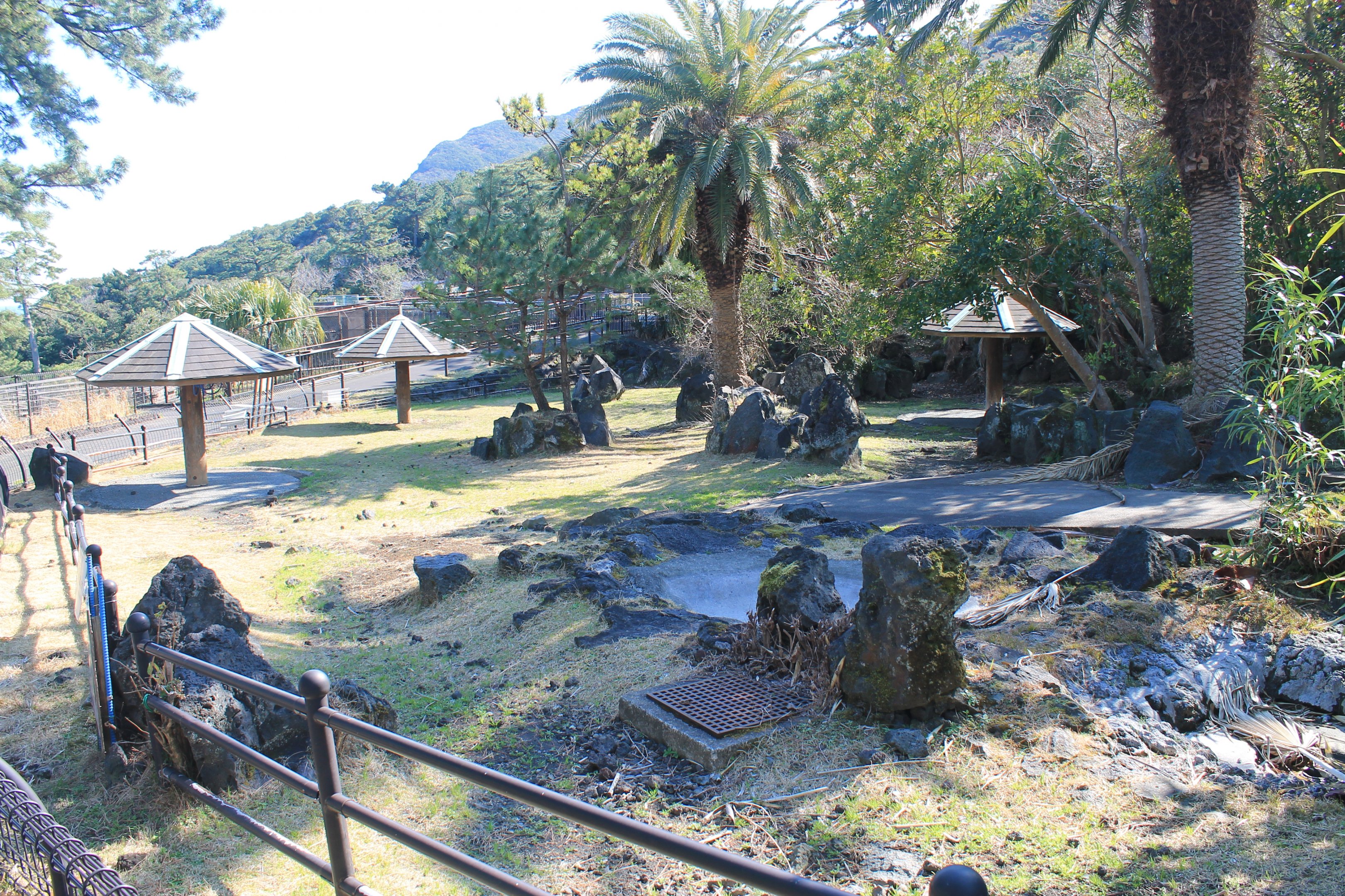 Aldabra Tortoise paddock - Oshima Park Zoo