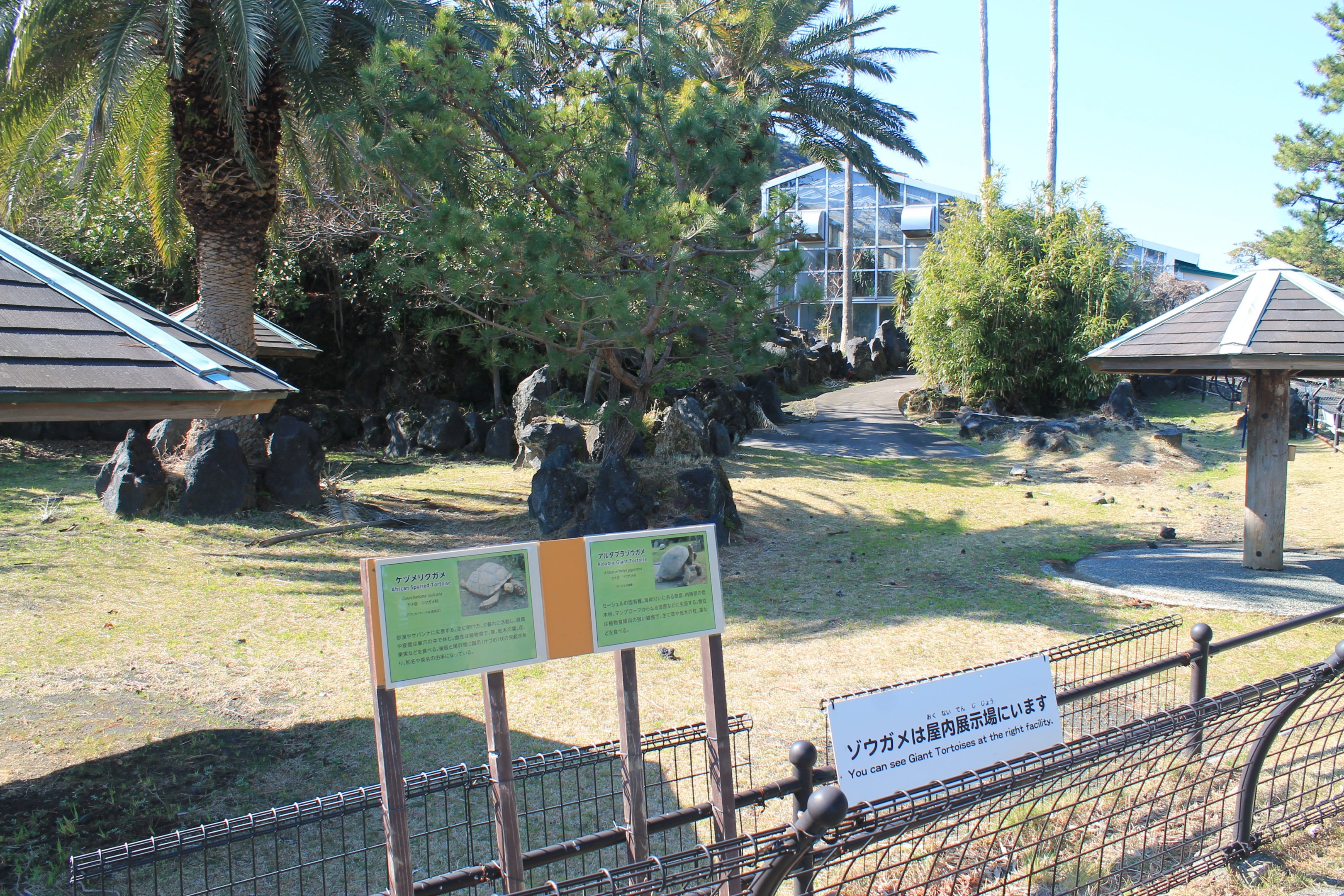 Aldabra Tortoise paddock - Oshima Park Zoo