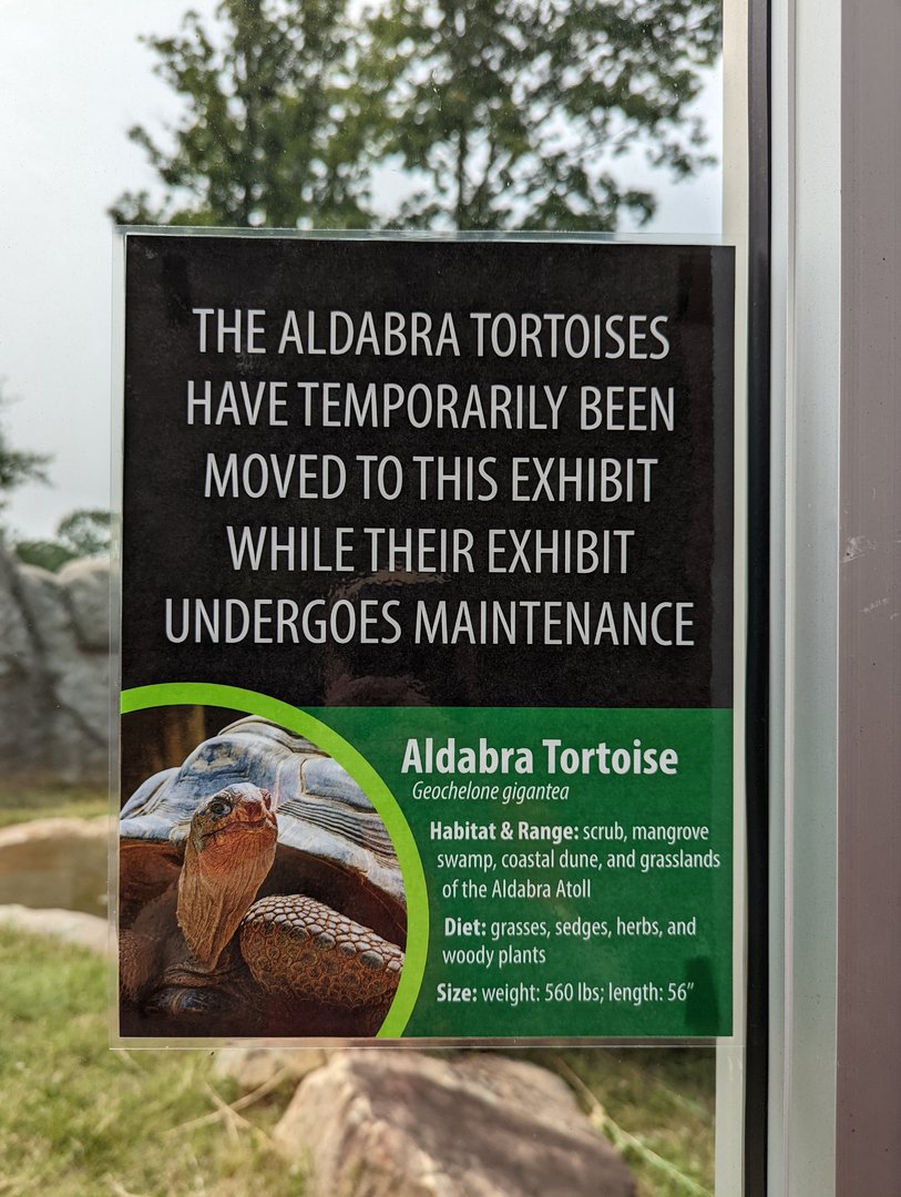 Aldabra tortoise sign