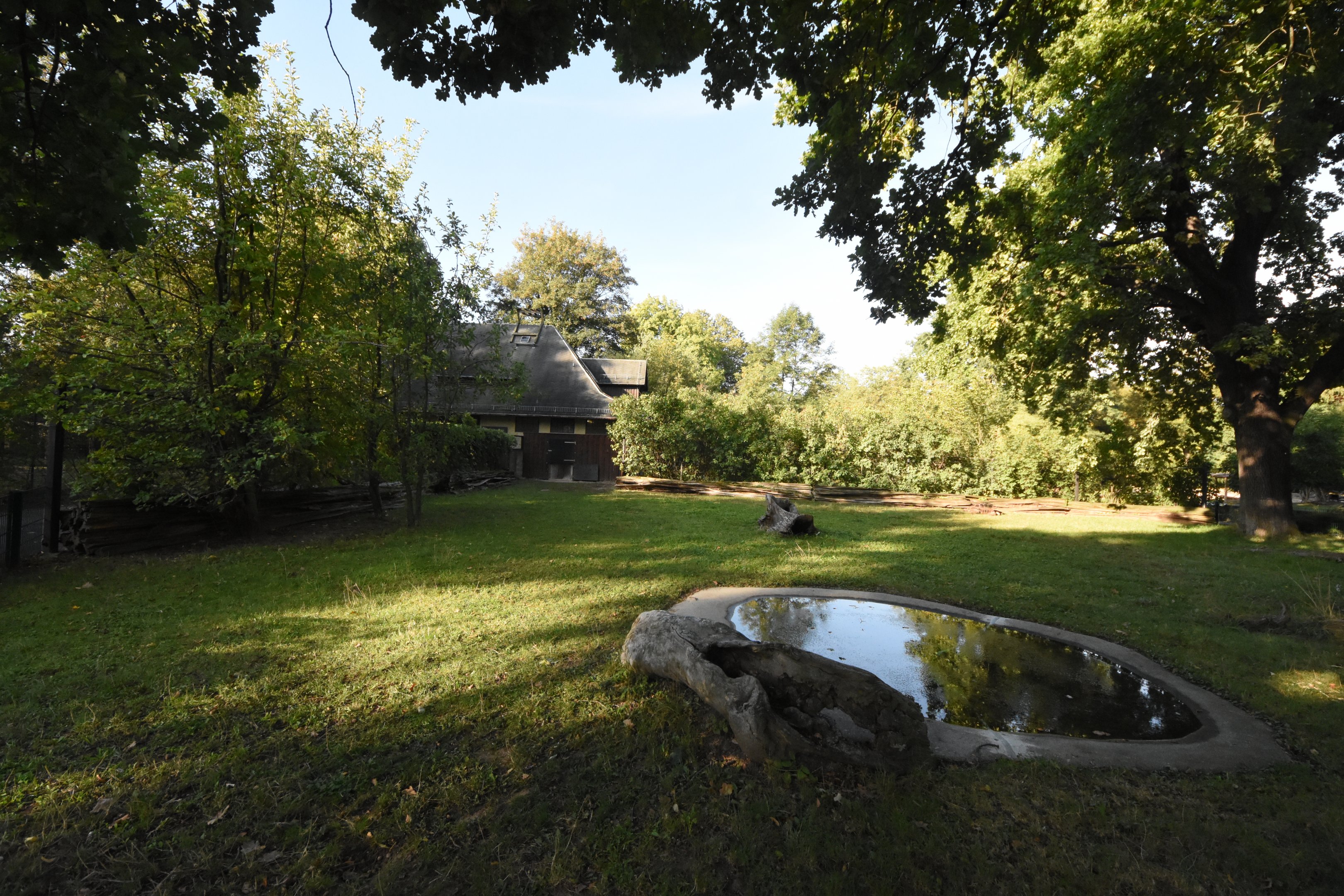 Aldabran giant tortoise enclosure
