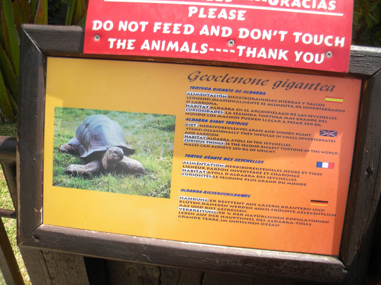 Aldabran Giant Tortoise signage at Mundo Mar 01/08/11