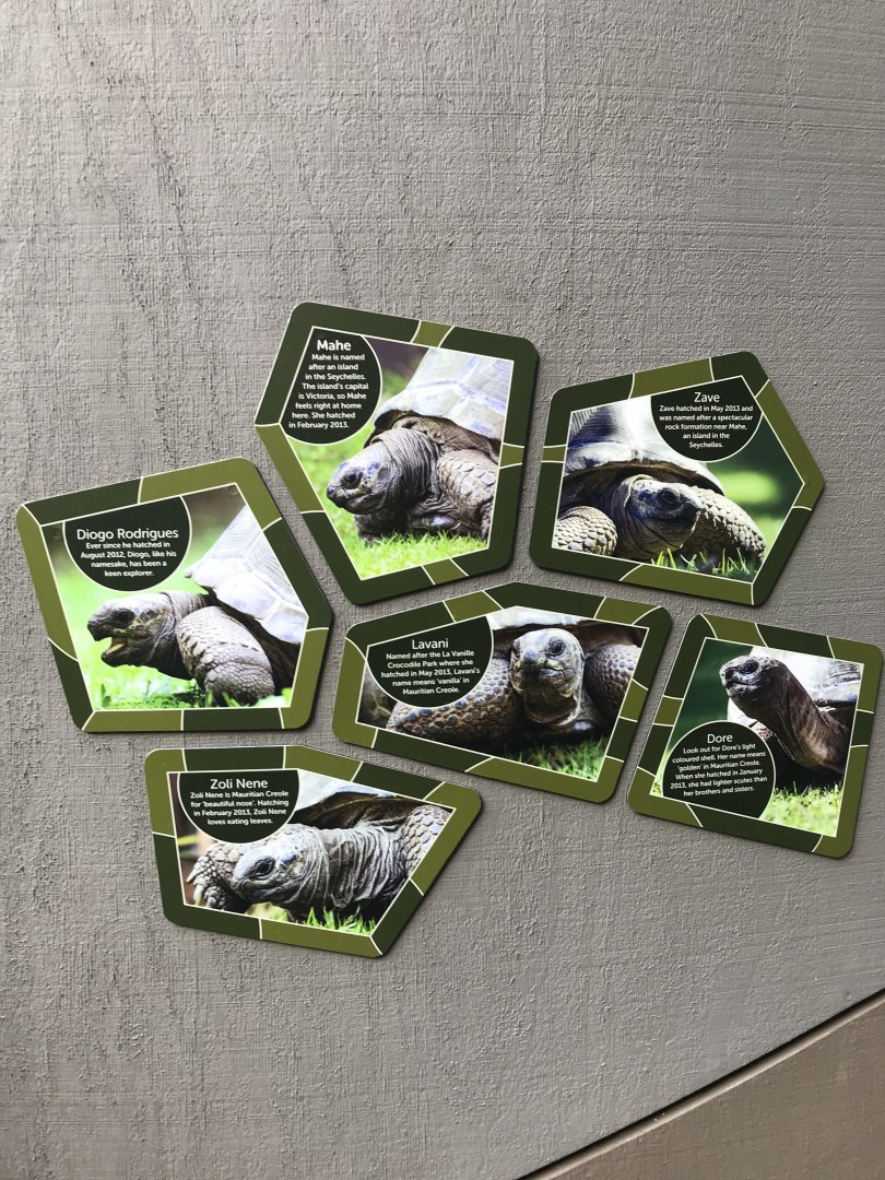 Aldabran Tortoise profiles