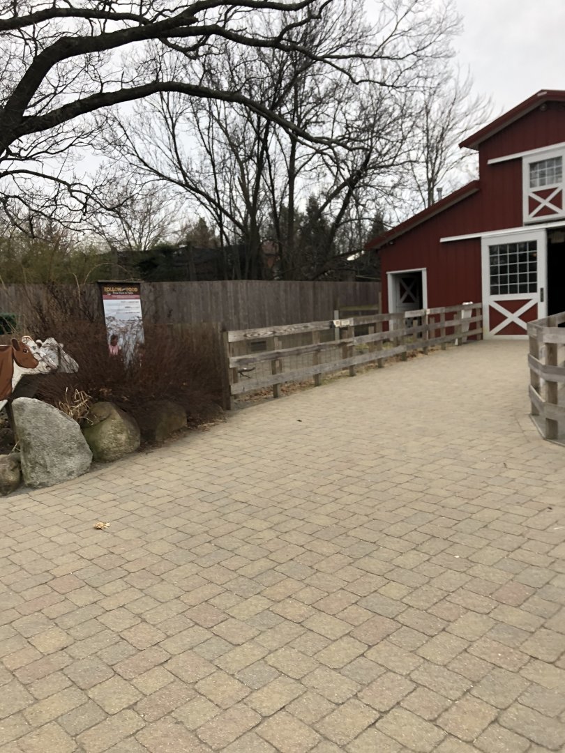 Alex and Ani Barnyard (Mid Section) - Feb, 2020