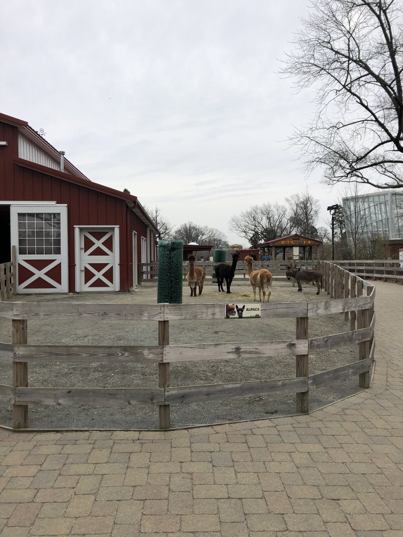 Alex and Ani Barnyard (Right Side) - Feb, 2020