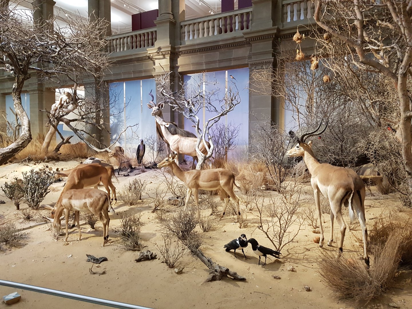 Alexander Koenig Research Museum Bonn