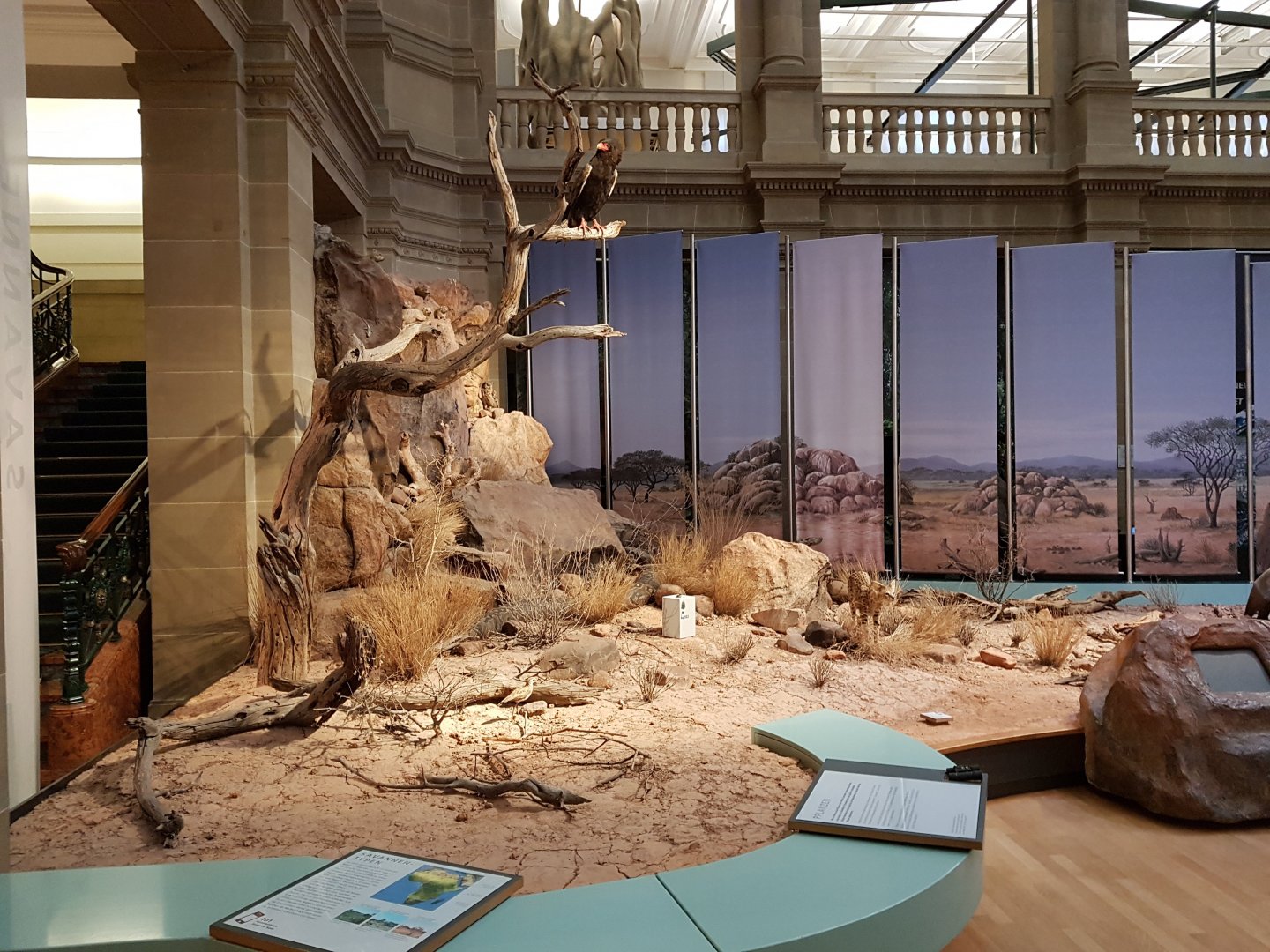 Alexander Koenig Research Museum Bonn