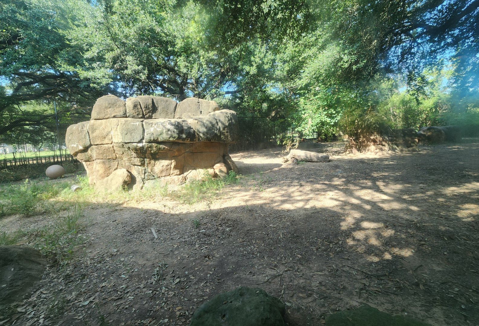 Alexandria Zoo - Lion enclosure