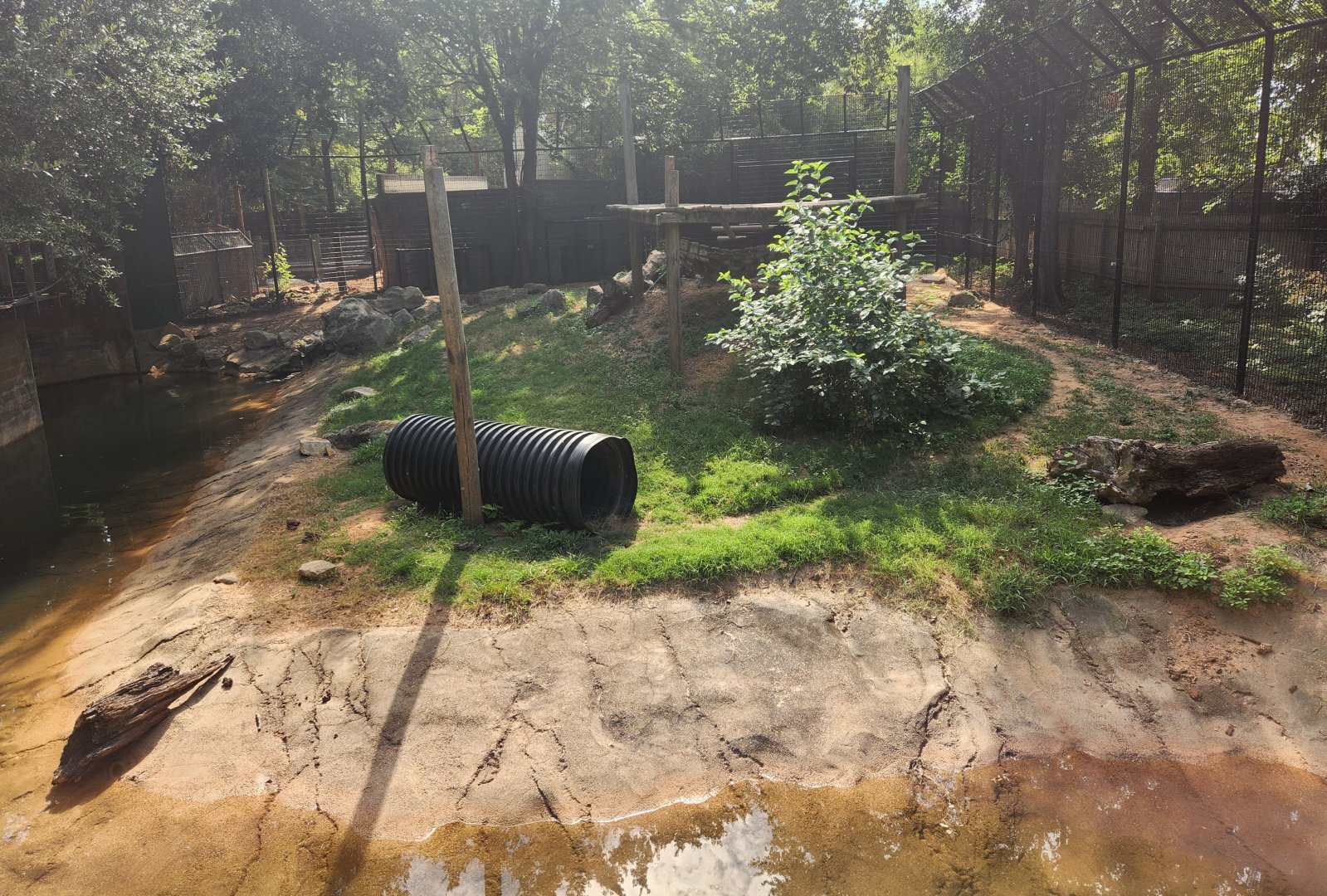 Alexandria Zoo - Louisiana Black Bear enclosure