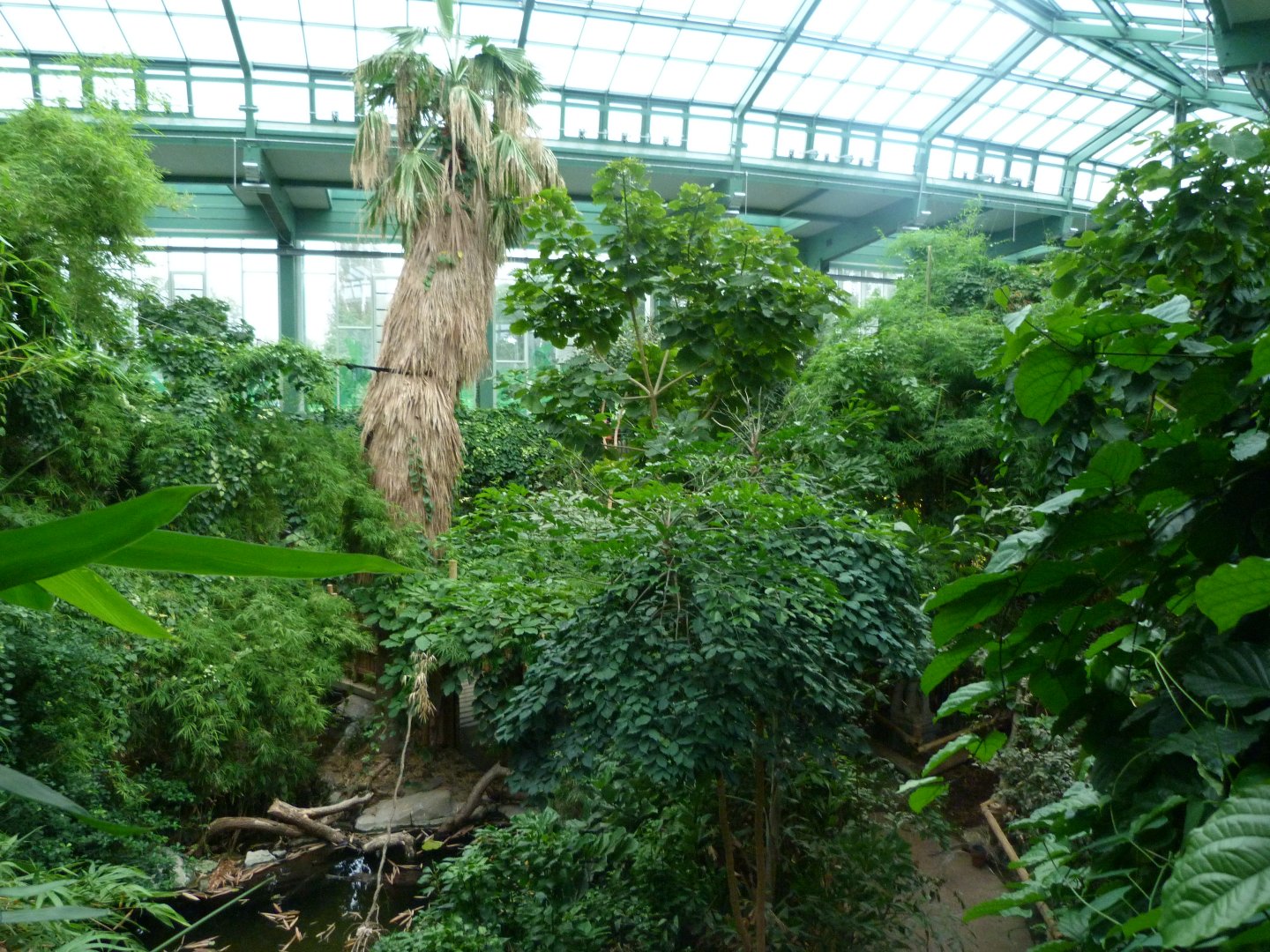 "Alfred-Brehm-Haus" greenhouse -Tierpark Berlin (2024)
