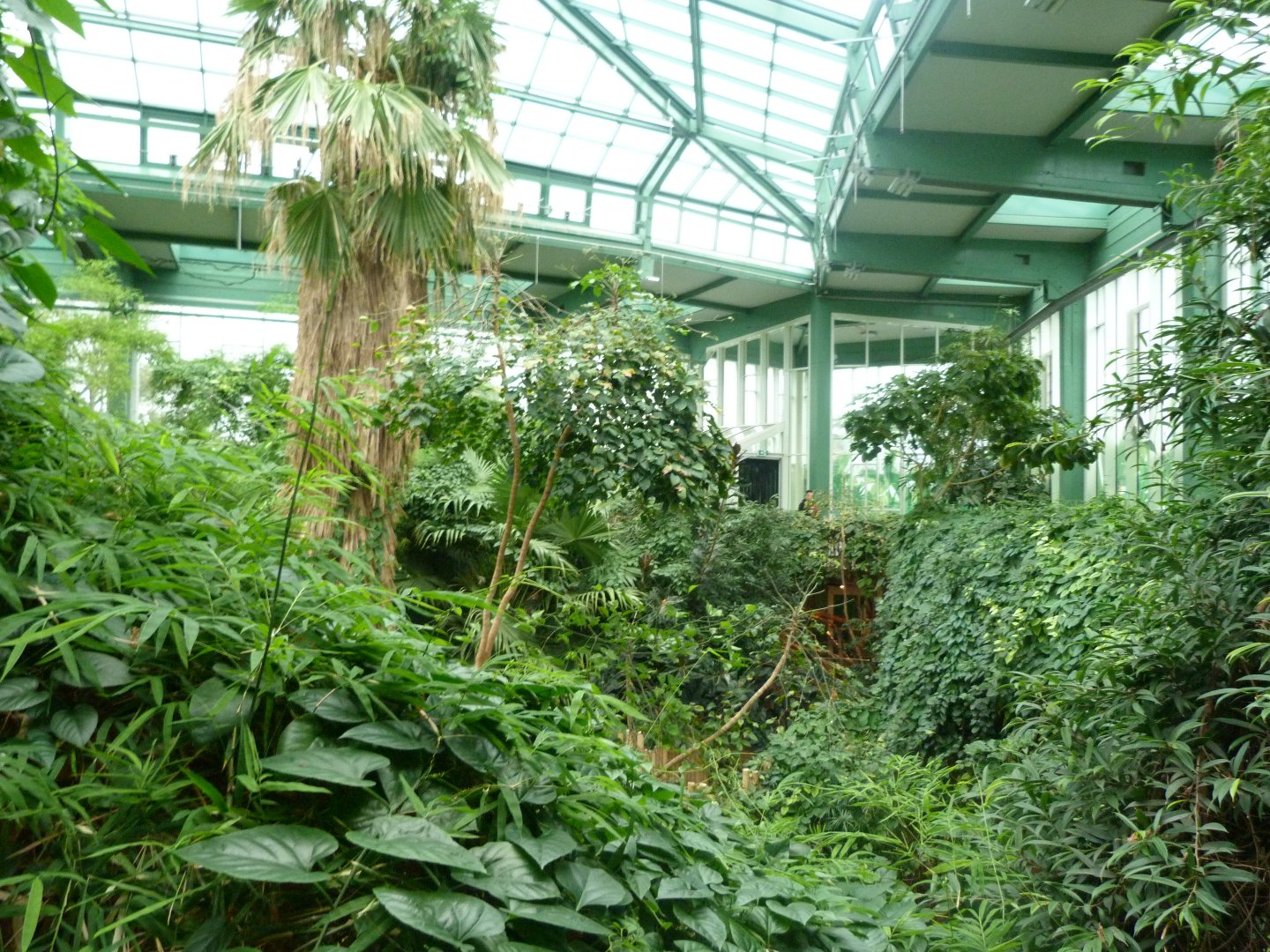 "Alfred-Brehm-Haus" greenhouse -Tierpark Berlin (2024)