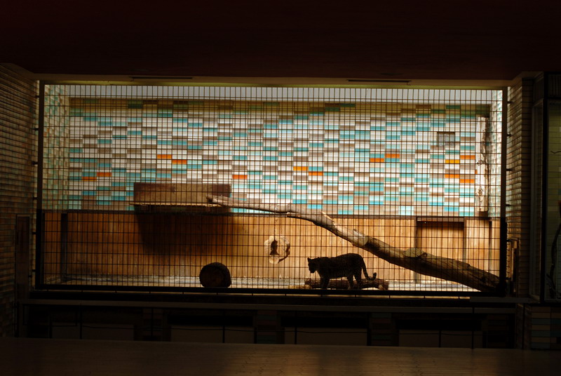 Alfred-Brehm-House 2