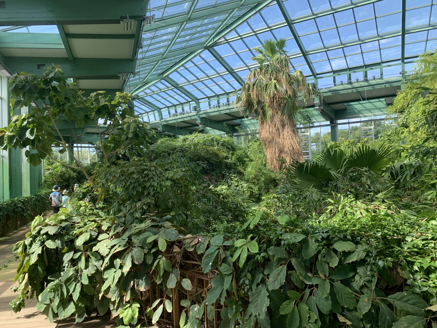 Alfred Brehm house interior