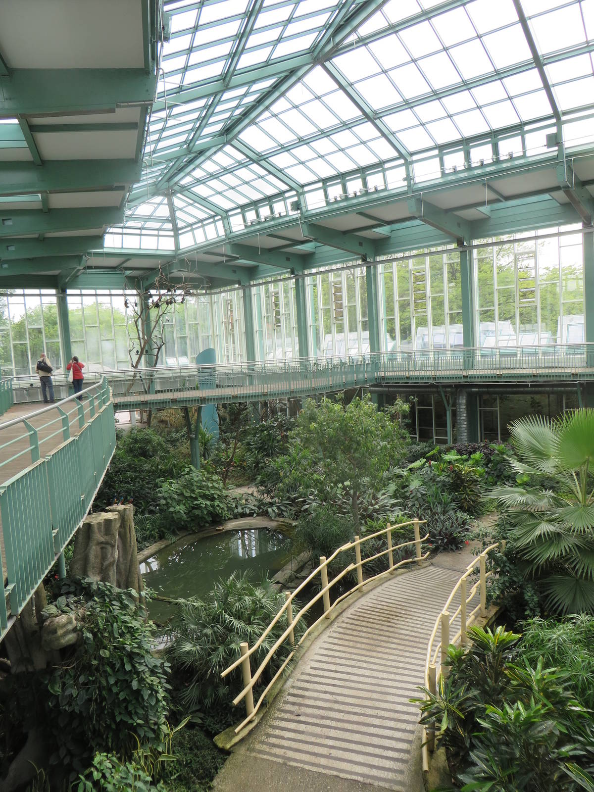 Alfred Brehm house - tropical hall