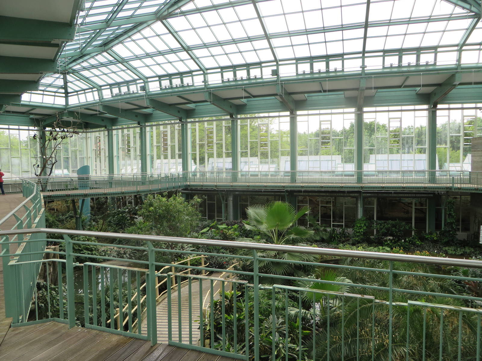 Alfred Brehm house - tropical hall