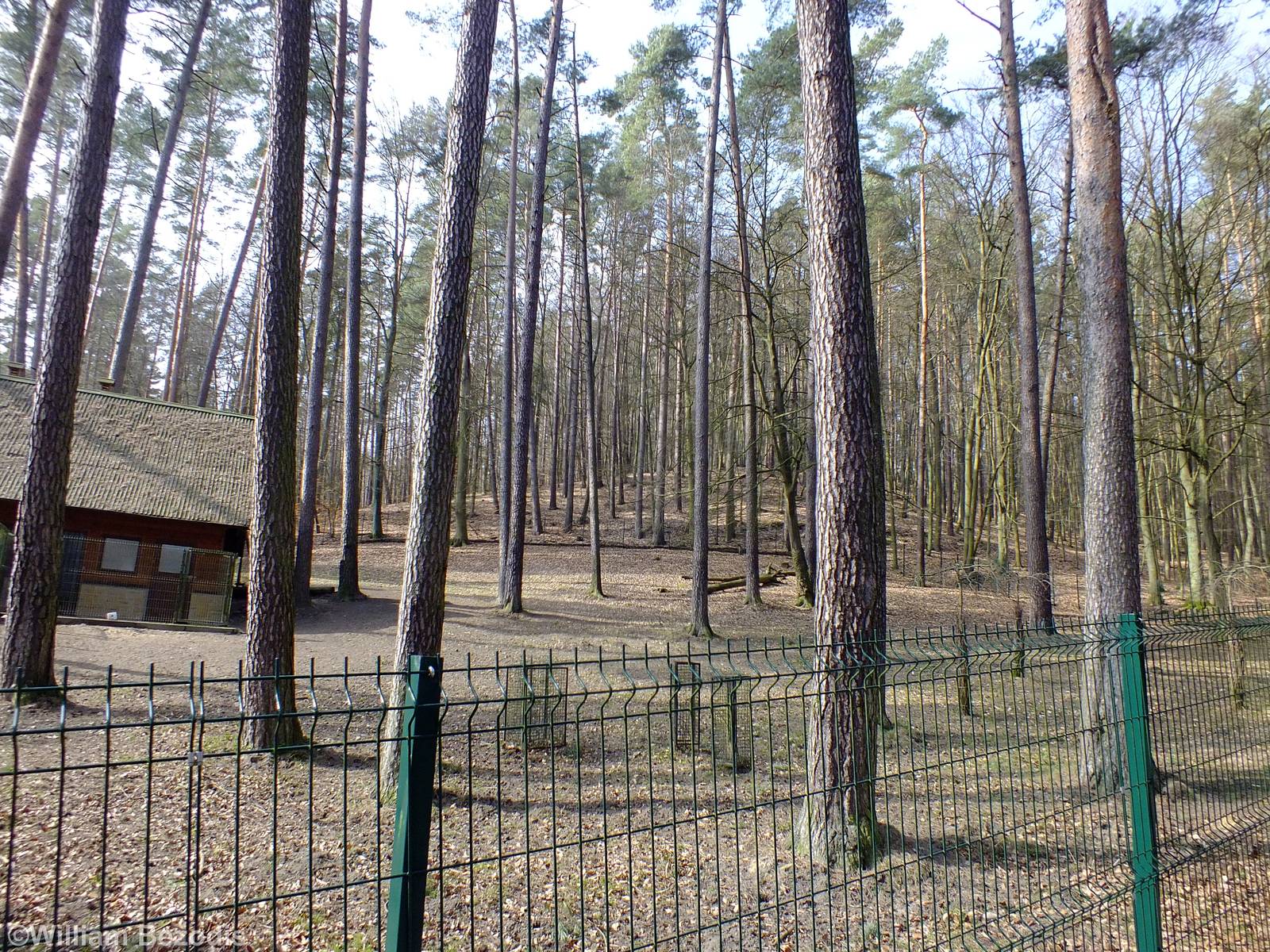 Alfred's Spotted Deer Enclosure