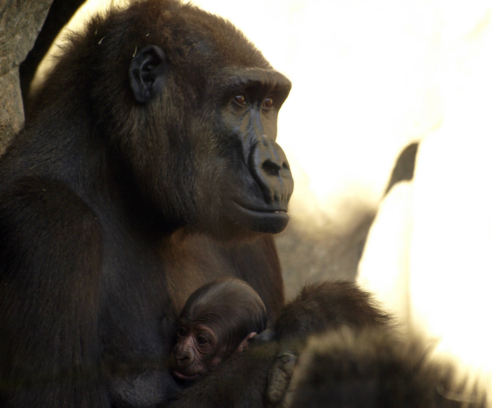Ali and her newborn baby.