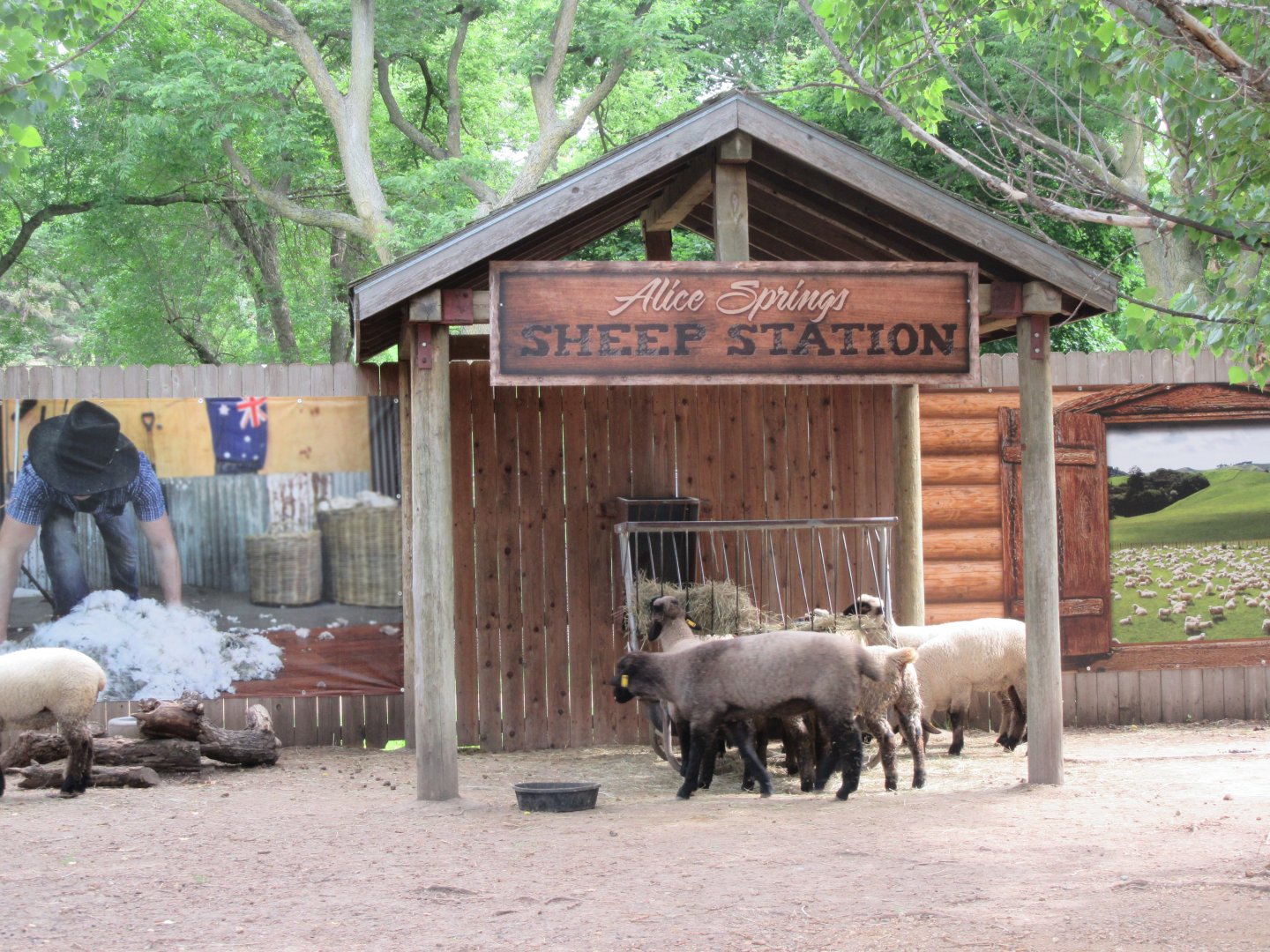 Alice Spring Sheep Station