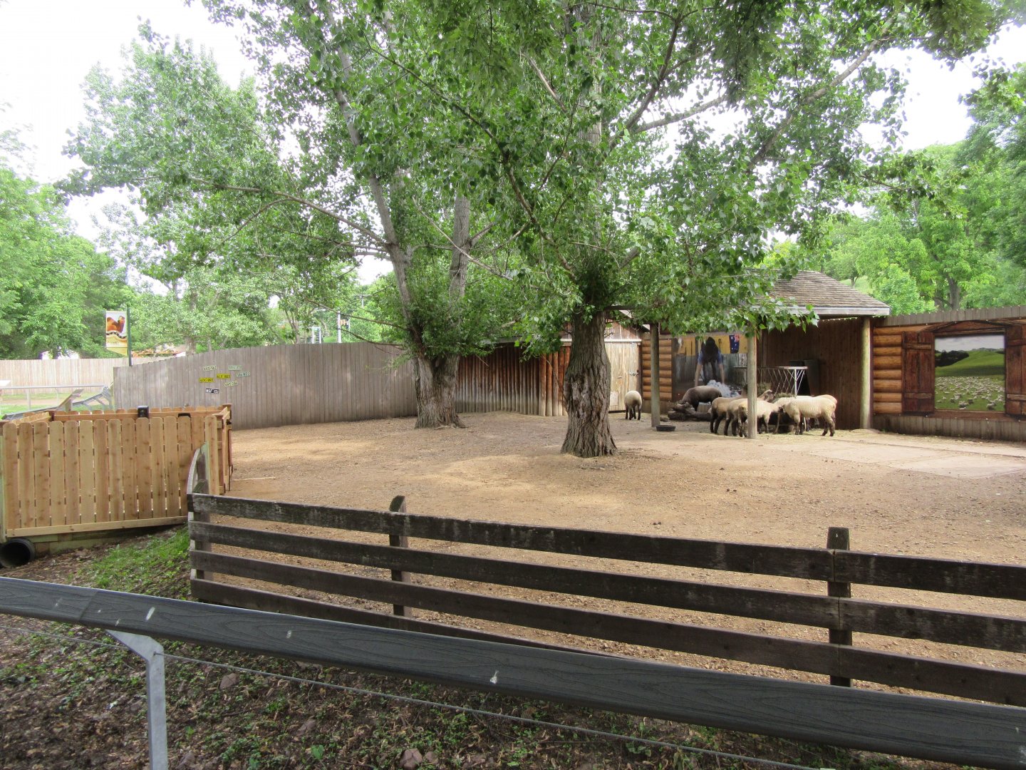 Alice Spring Sheep Station