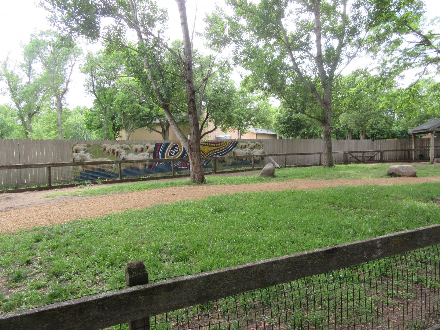 Alice Spring Sheep Station