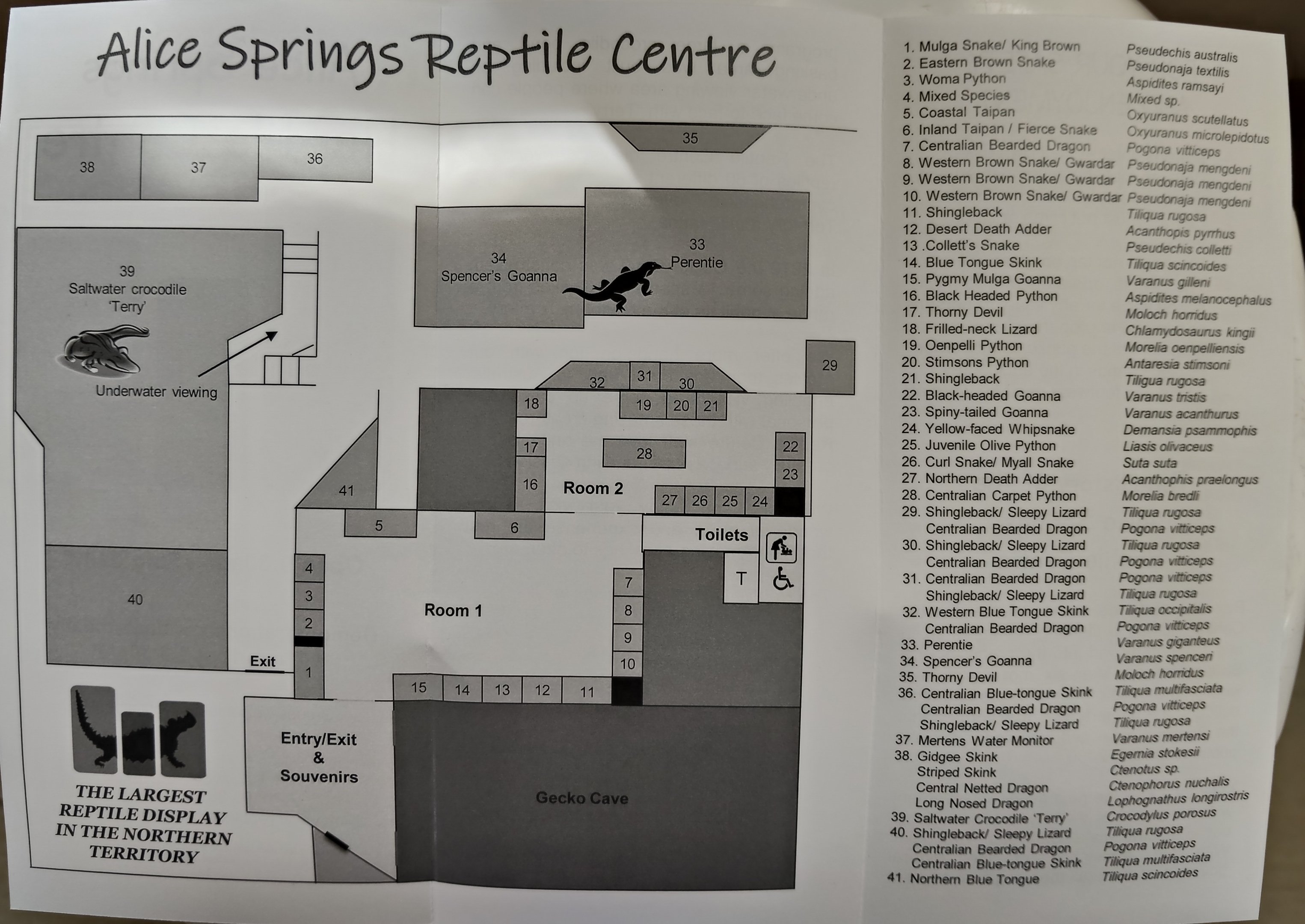 Alice Springs Reptile Centre map, September 2025