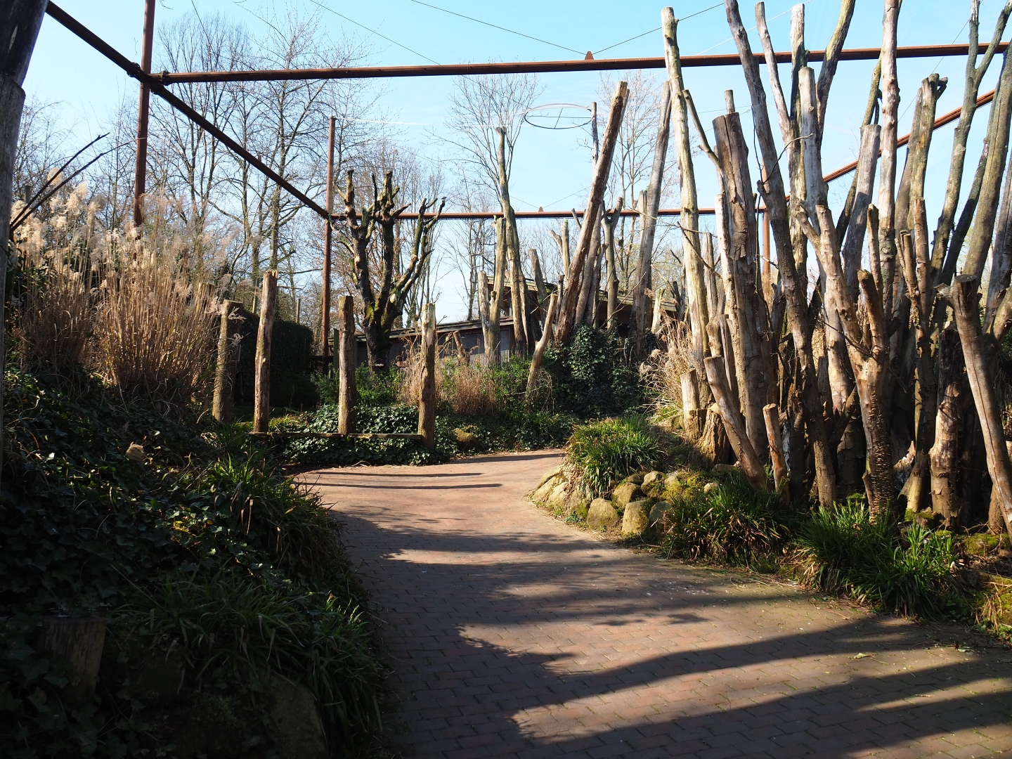 Alien species aviary, 2019-03-30