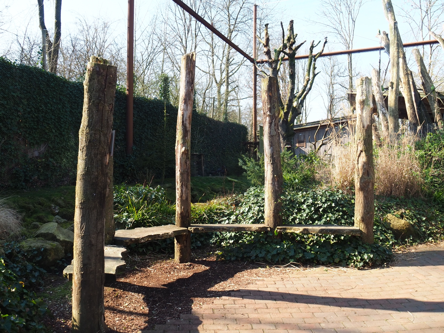 Alien species aviary, 2019-03-30