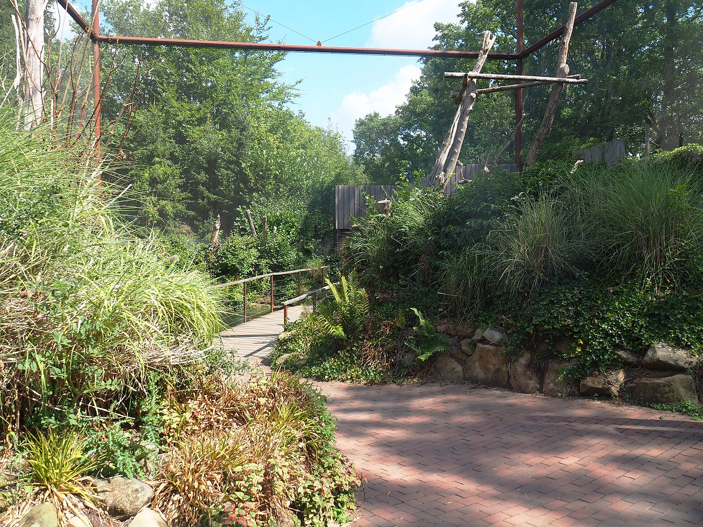 Alien species aviary, 2022-08-20