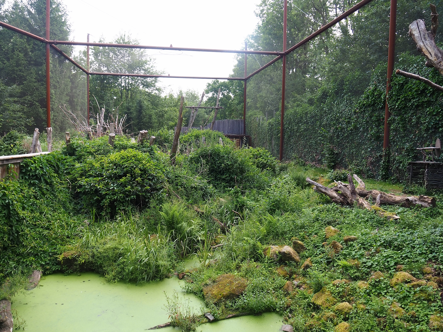 Alien species aviary, 2023-07-18