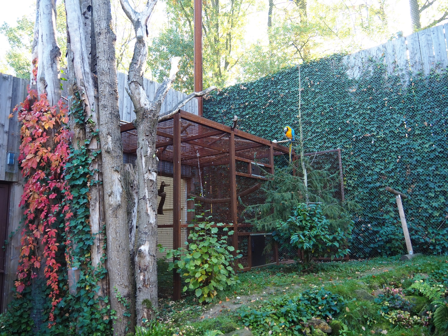 Alien species aviary bird house and separation aviary (Oct 13th, 2018)