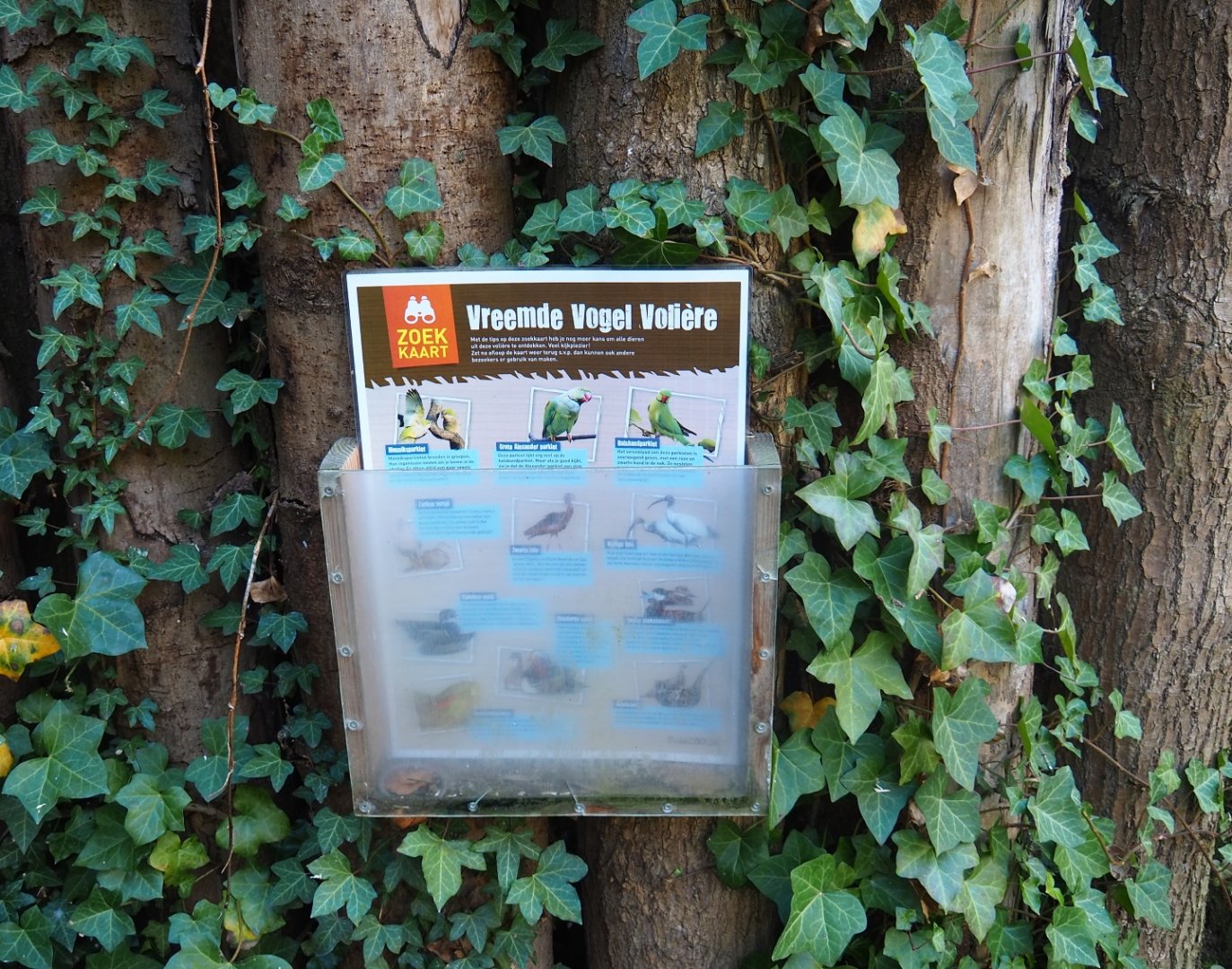 Alien species aviary bird identification card dispenser, 2019-03-30