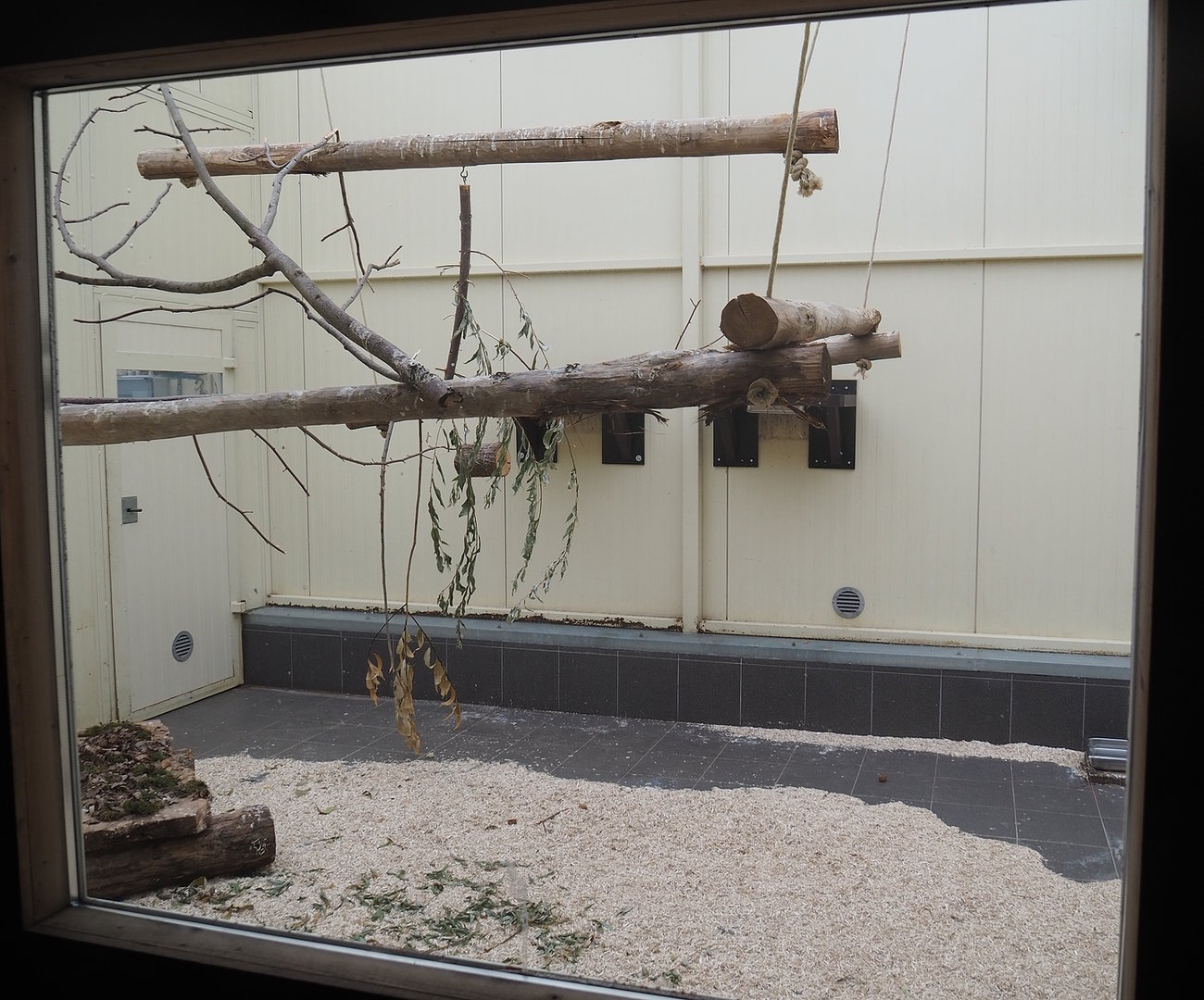 Alien species aviary indoor housing, 2022-08-20