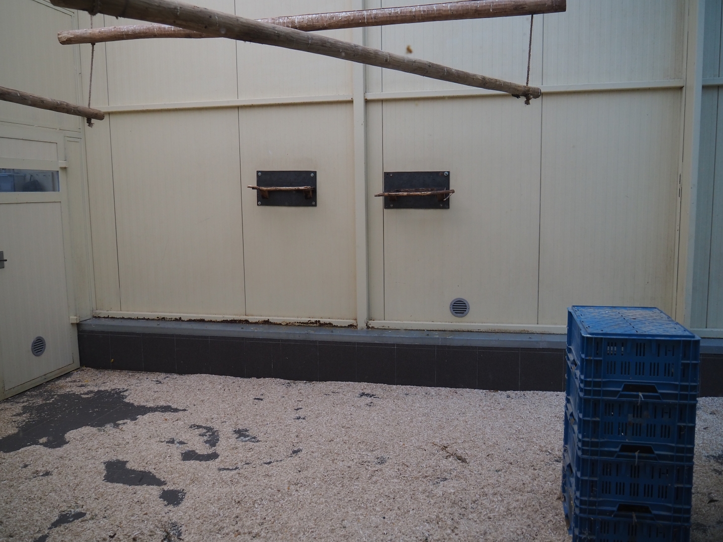 Alien species aviary indoor housing (Oct 13th, 2018)