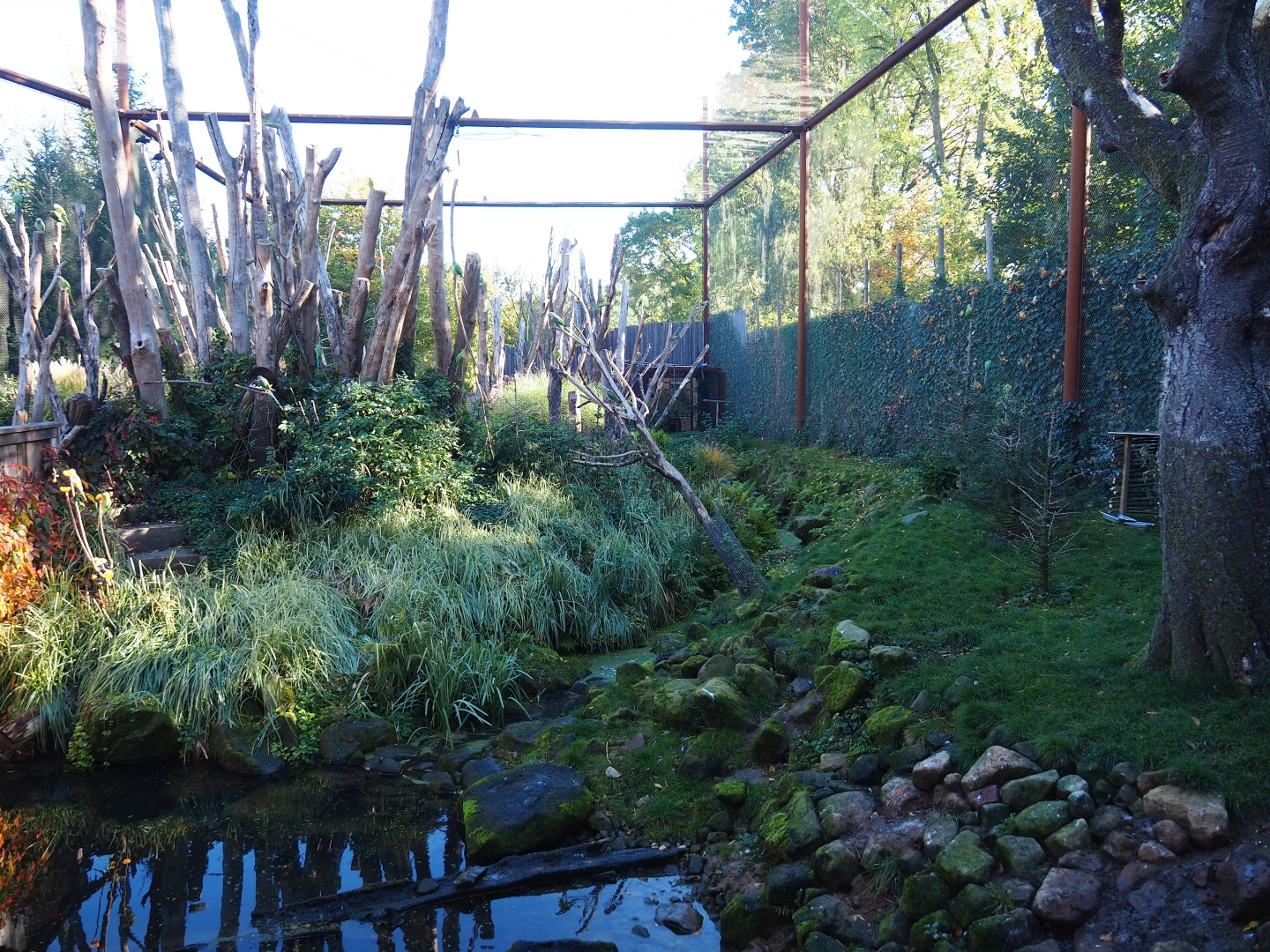 Alien species aviary (Oct 13th, 2018)