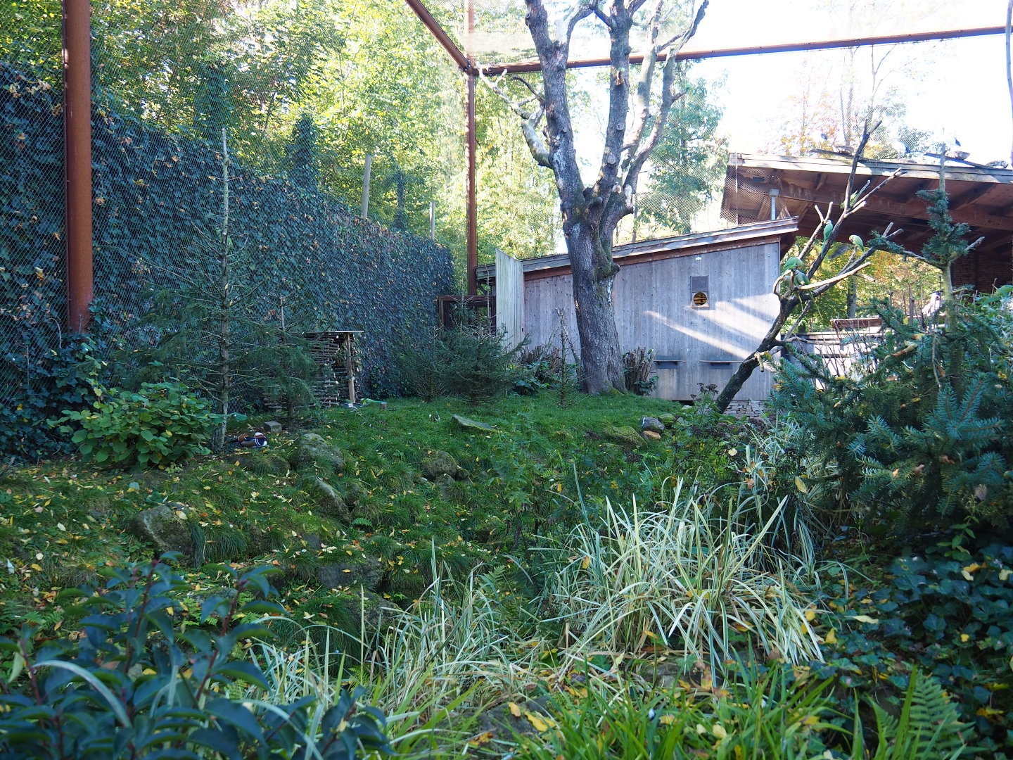 Alien species aviary (Oct 13th, 2018)