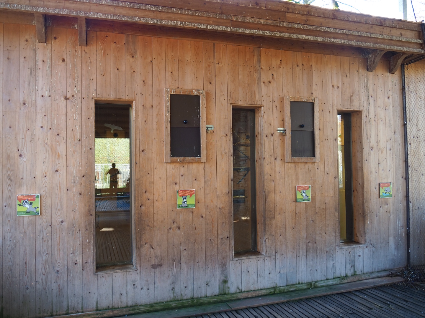 Alien species aviary parakeet house, 2019-03-30