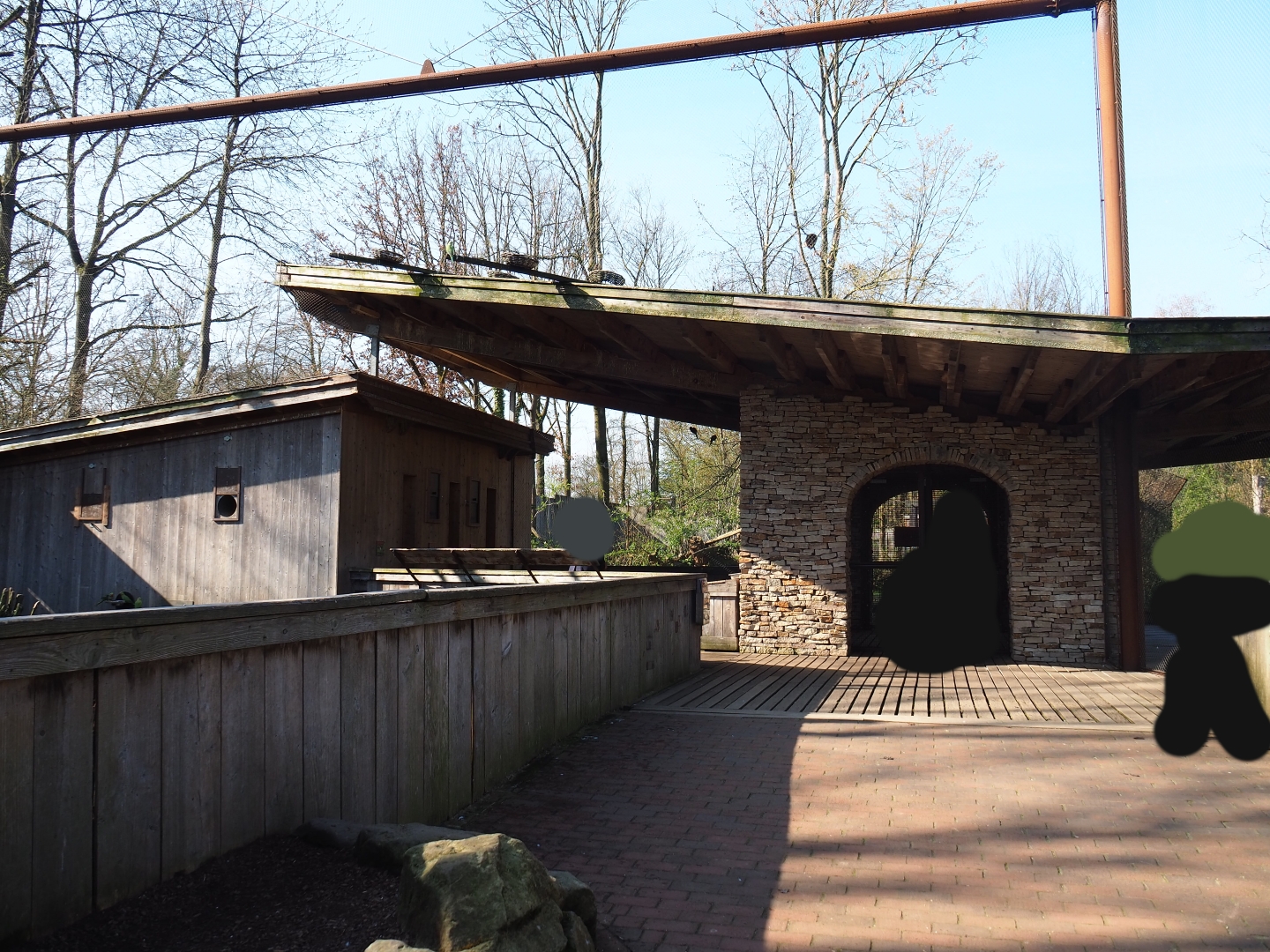 Alien species aviary - Parakeet house and shelter with entrance, 2019-03-30