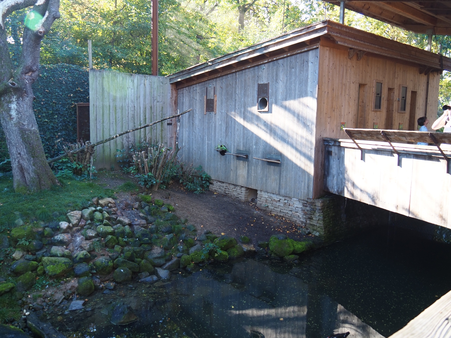 Alien species aviary parrot house (Oct 13th, 2018)