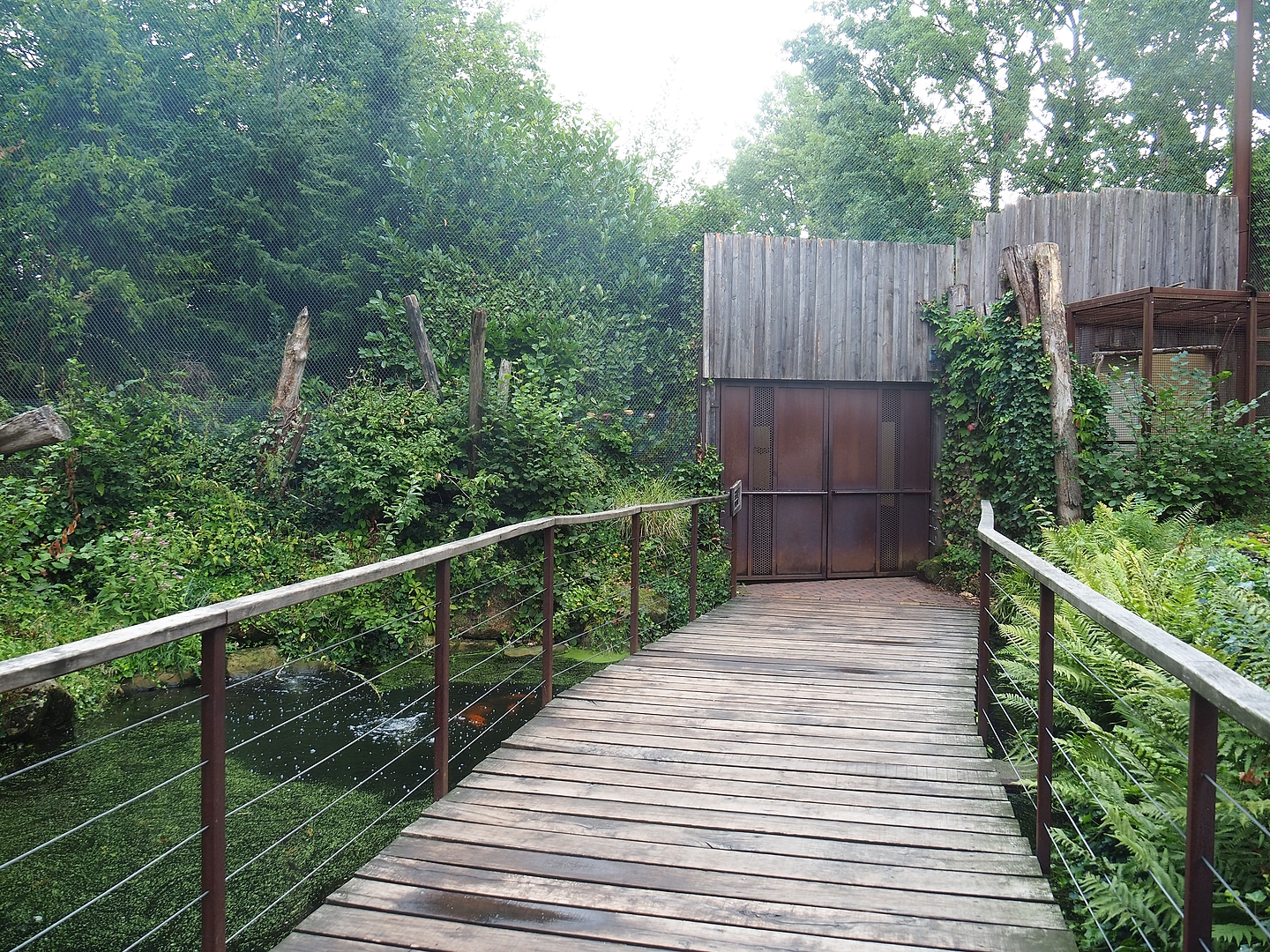 Alien species aviary - Pond and bridge near access, 2022-08-20