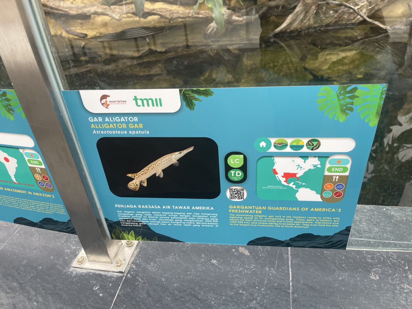 aligator gar signage - dunia air tawar