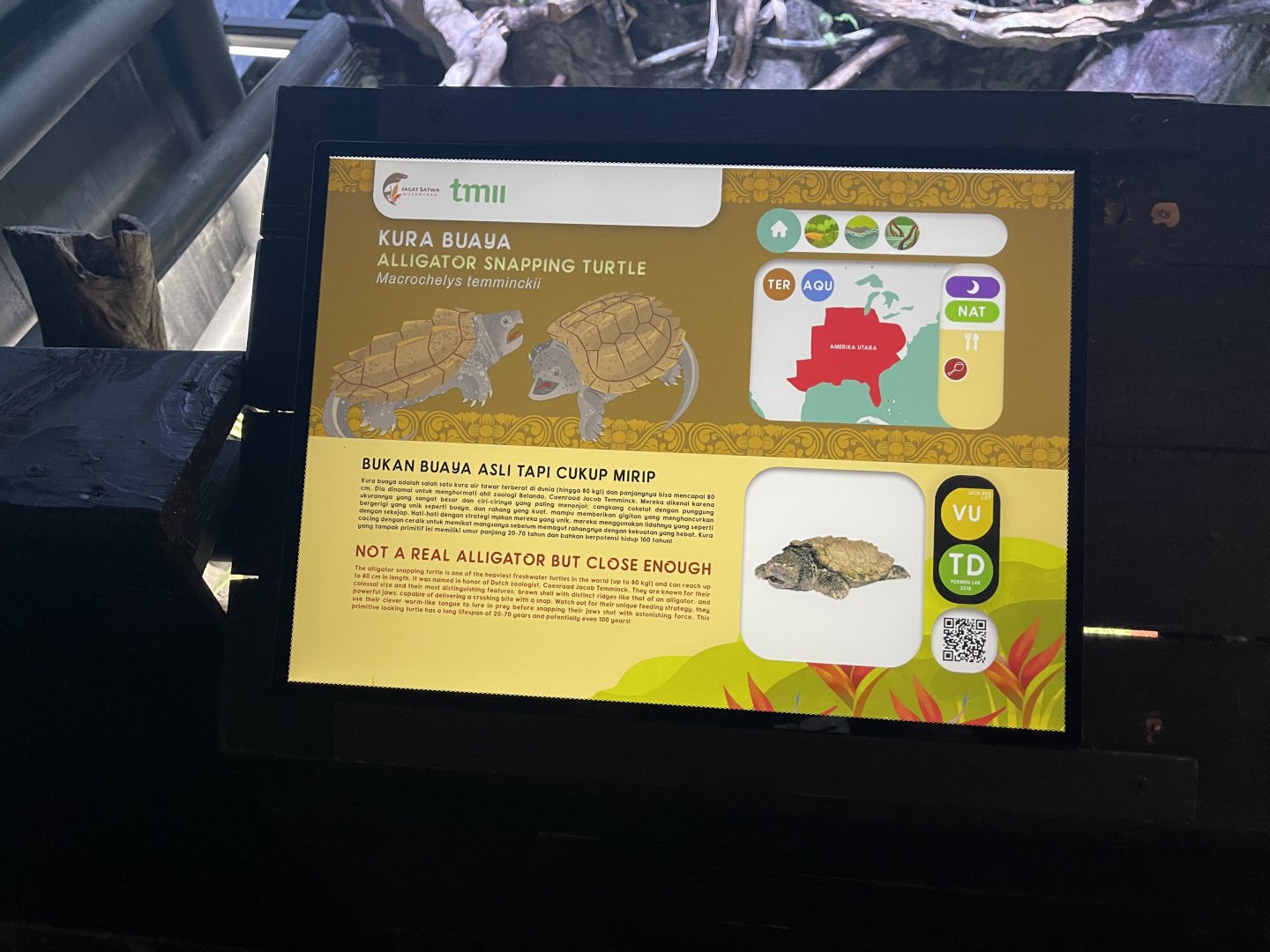 aligator snapping turtle signage (1) - dunia air tawar