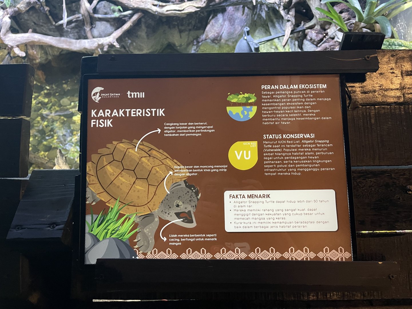 aligator snapping turtle signage (3) - dunia air tawar