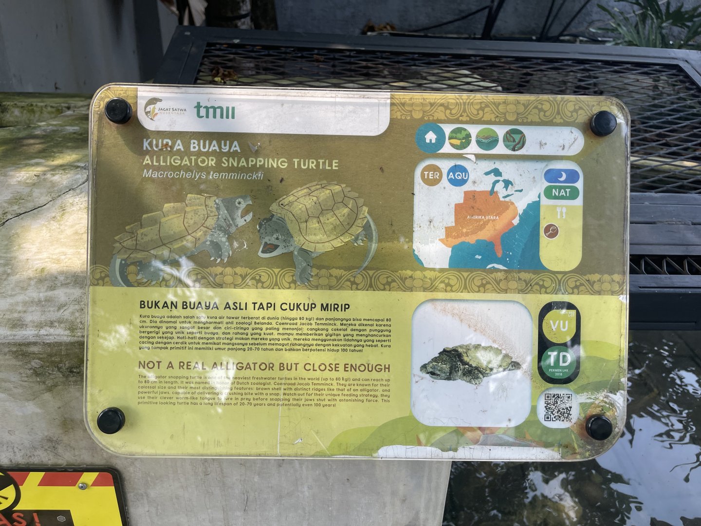 aligator snapping turtle signage - museum komodo