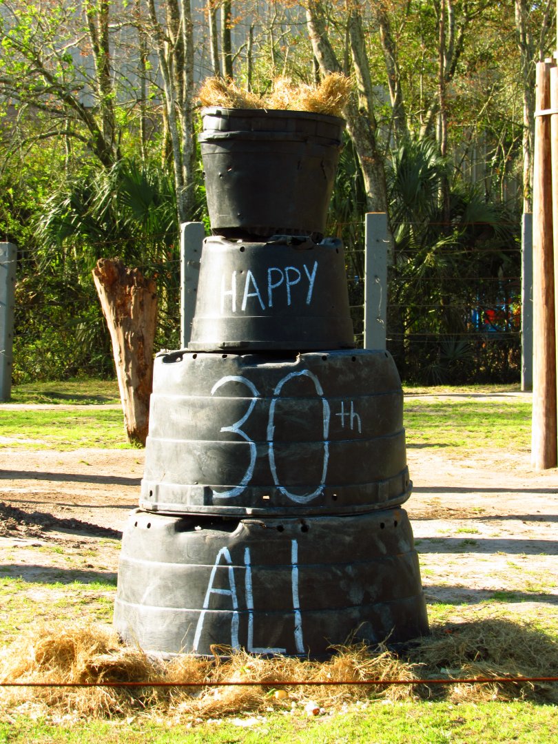 Ali's Birthday Enrichment