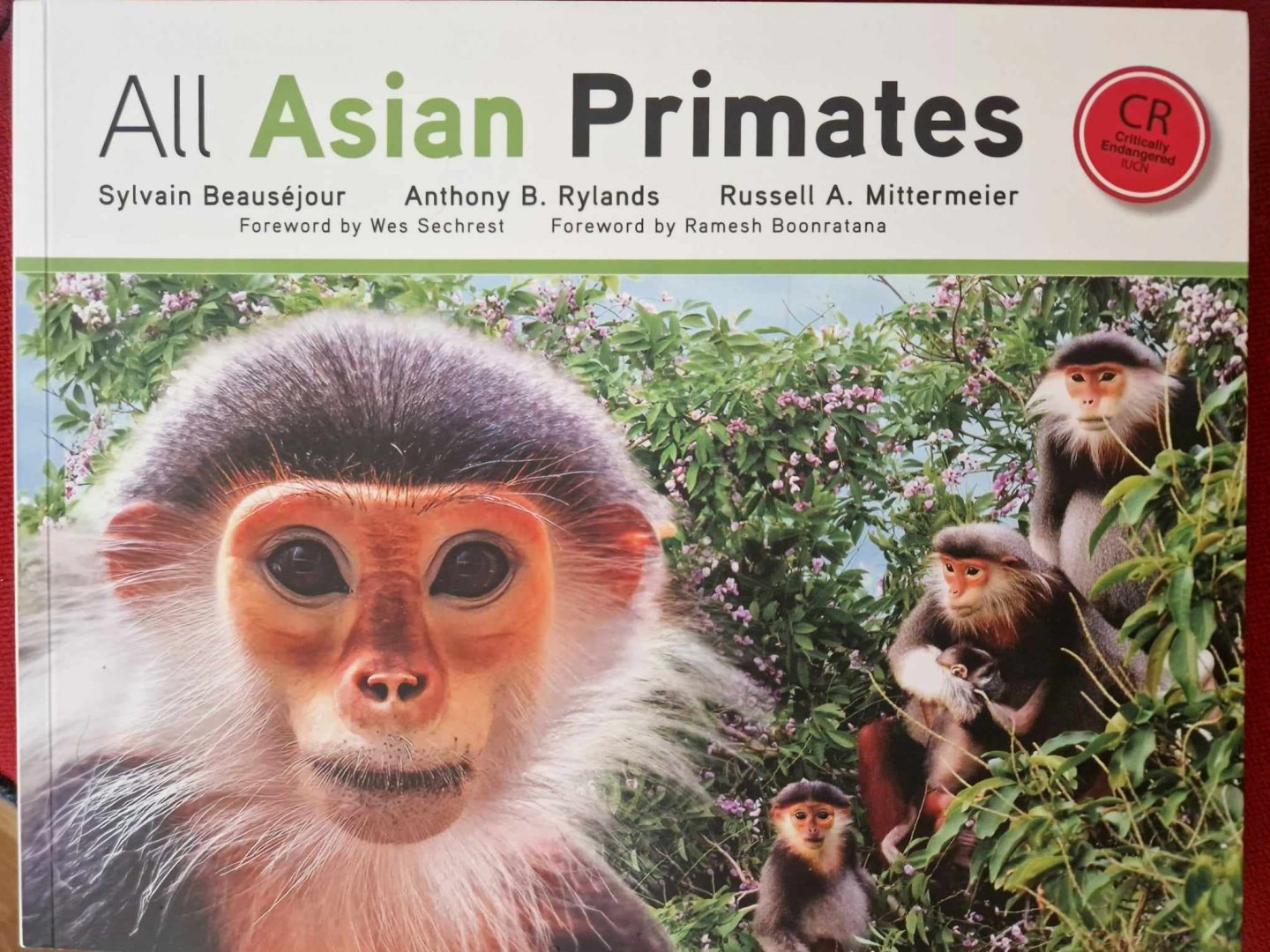 All Asian Primates