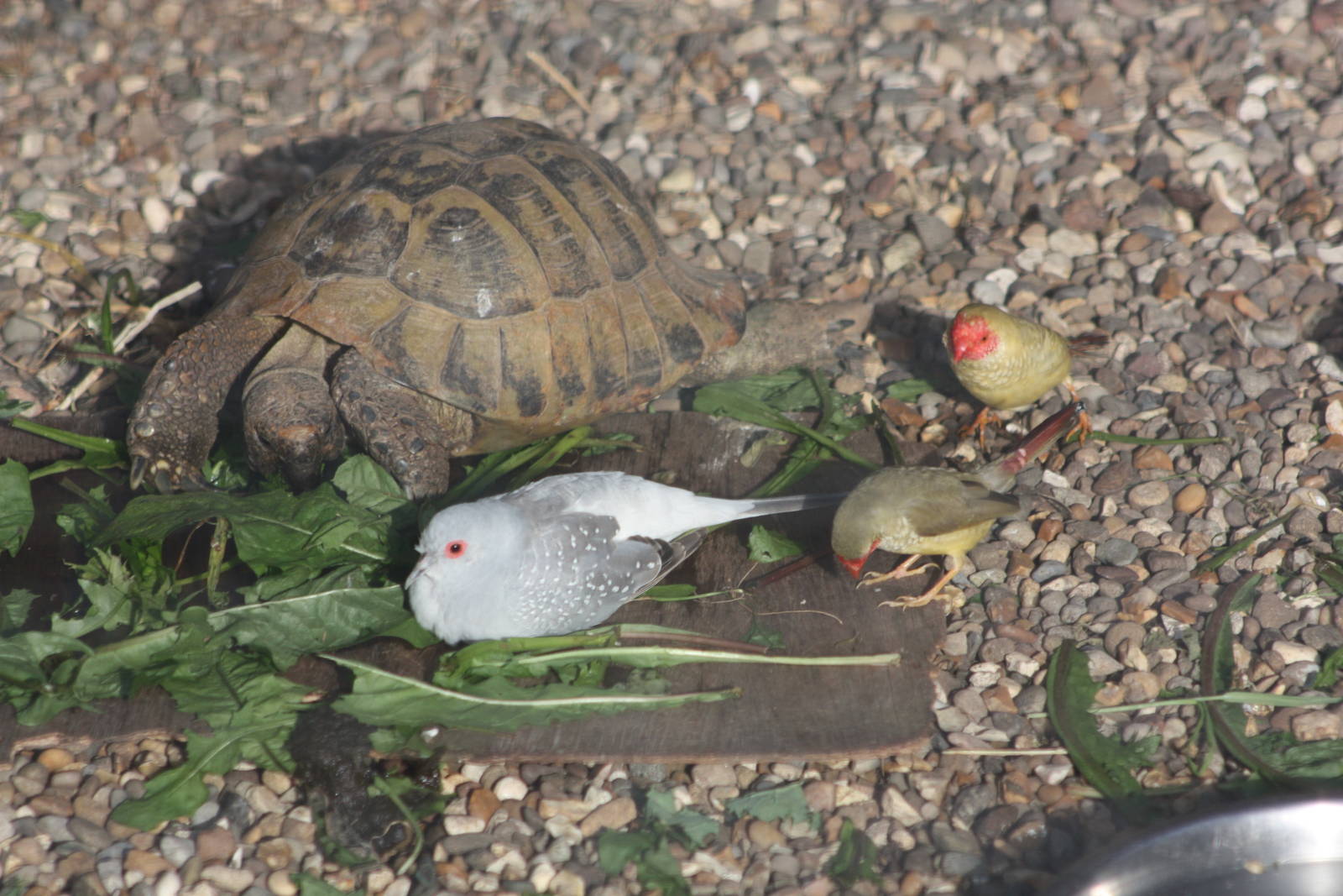 All friends together, 12th September 2014
