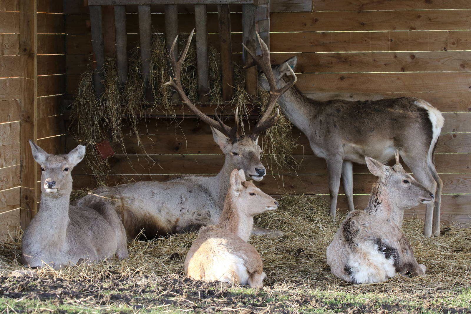 All Together Now, All Together Now