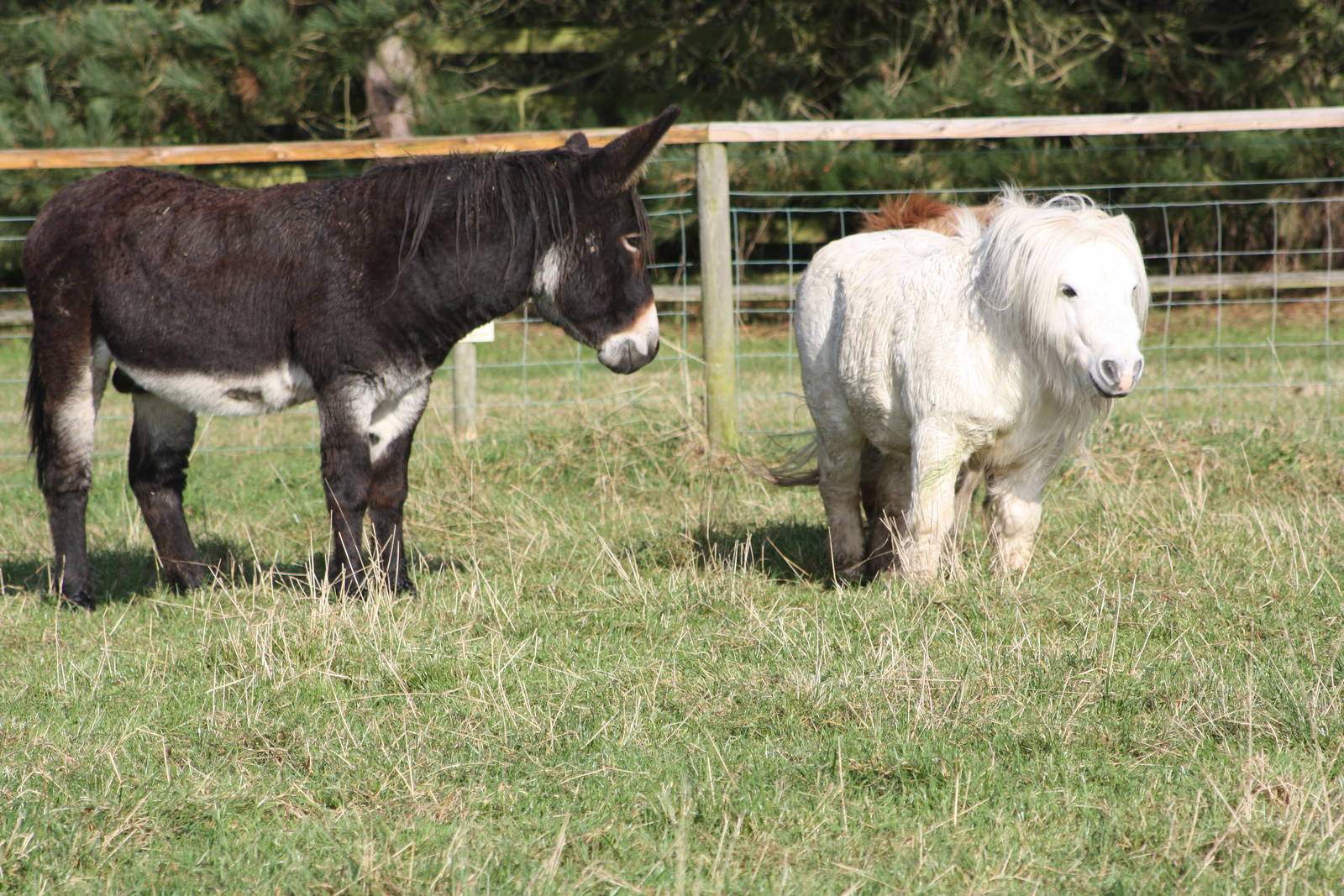 All was well, 16th October 2014